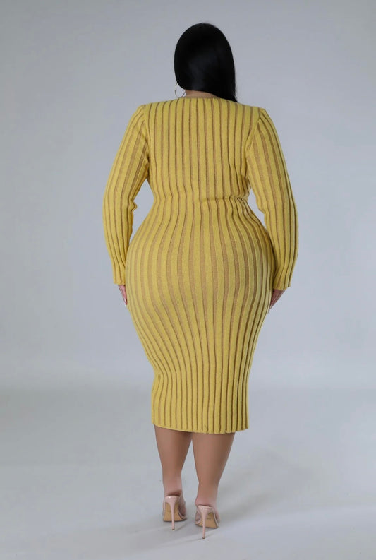 BRUNCH DAY DRESS (Plus-Size)