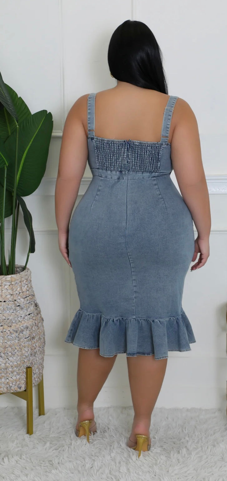 BEAUTY DRESS (PLUS-SIZE)