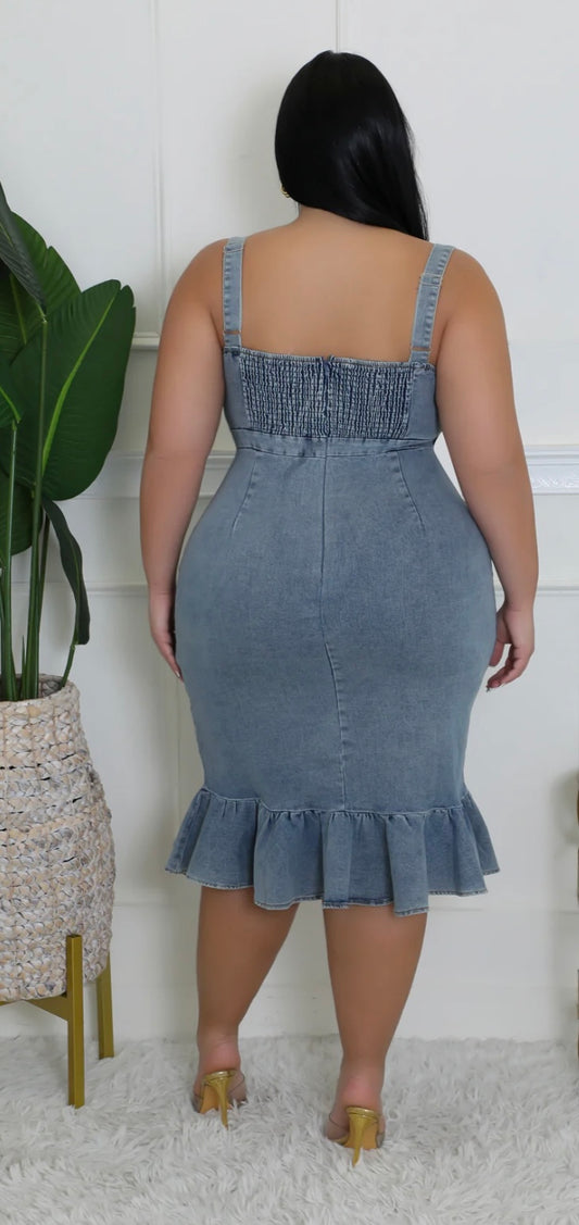 BEAUTY DRESS (PLUS-SIZE)